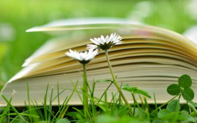 #34 Biodiversità nella nostra Biblioteca 