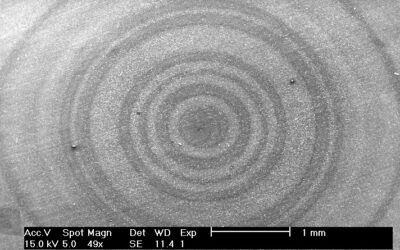 #40 Non si vede ma c’è (e lo respiriamo)! Viaggio nel mondo nascosto del particolato atmosferico 