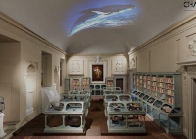 #15 L’altro Rinascimento: il prototipo digitale della mostra dedicata ad Ulisse Aldrovandi