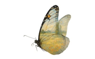 #17 Emozioni estetiche tra Natura e Arte: “sentiamo” la Biodiversità!