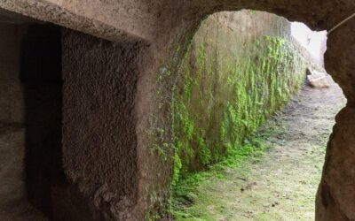 #19 Visitiamo la necropoli di Eretum per scoprire i Sabini, un antico popolo italico