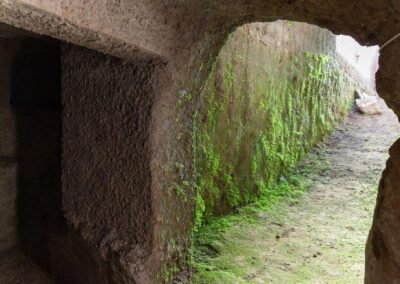 #19 Visitiamo la necropoli di Eretum per scoprire i Sabini, un antico popolo italico