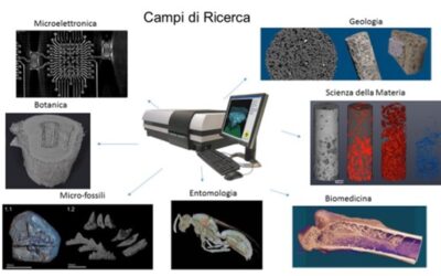 #34 Definizione di immagini in 2D e 3D mediante microtomografia (MicroCT)