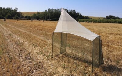 #37a Agricoltura e Biodiversità, Artropodi e sistemi colturali