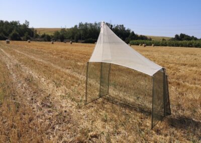 #37a Agricoltura e Biodiversità, Artropodi e sistemi colturali