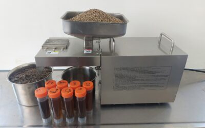 #39a Per fare l’olio ci vuole il seme.