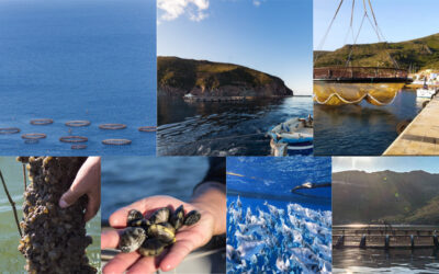 #40 Sistemi di produzione in acquacoltura