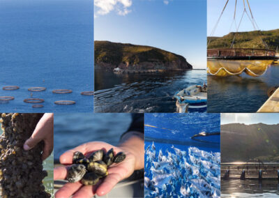 #40 Sistemi di produzione in acquacoltura